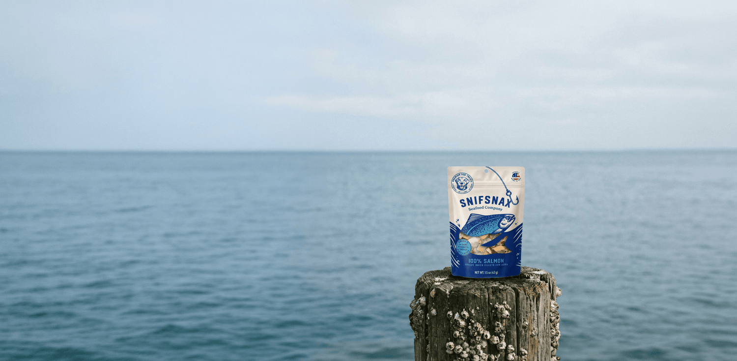 A bag of SnifSnax dog food standing on a weathered wooden post with a calm blue ocean and cloudy sky in the background.