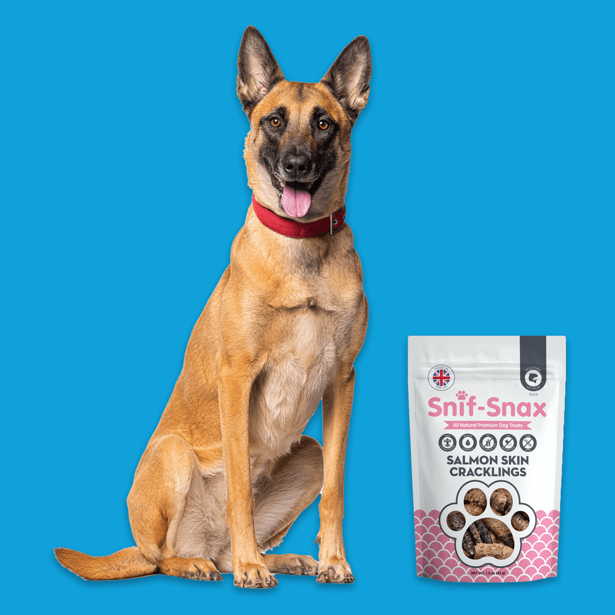 Crispy Salmon Skins 3-Pack (1.5oz)