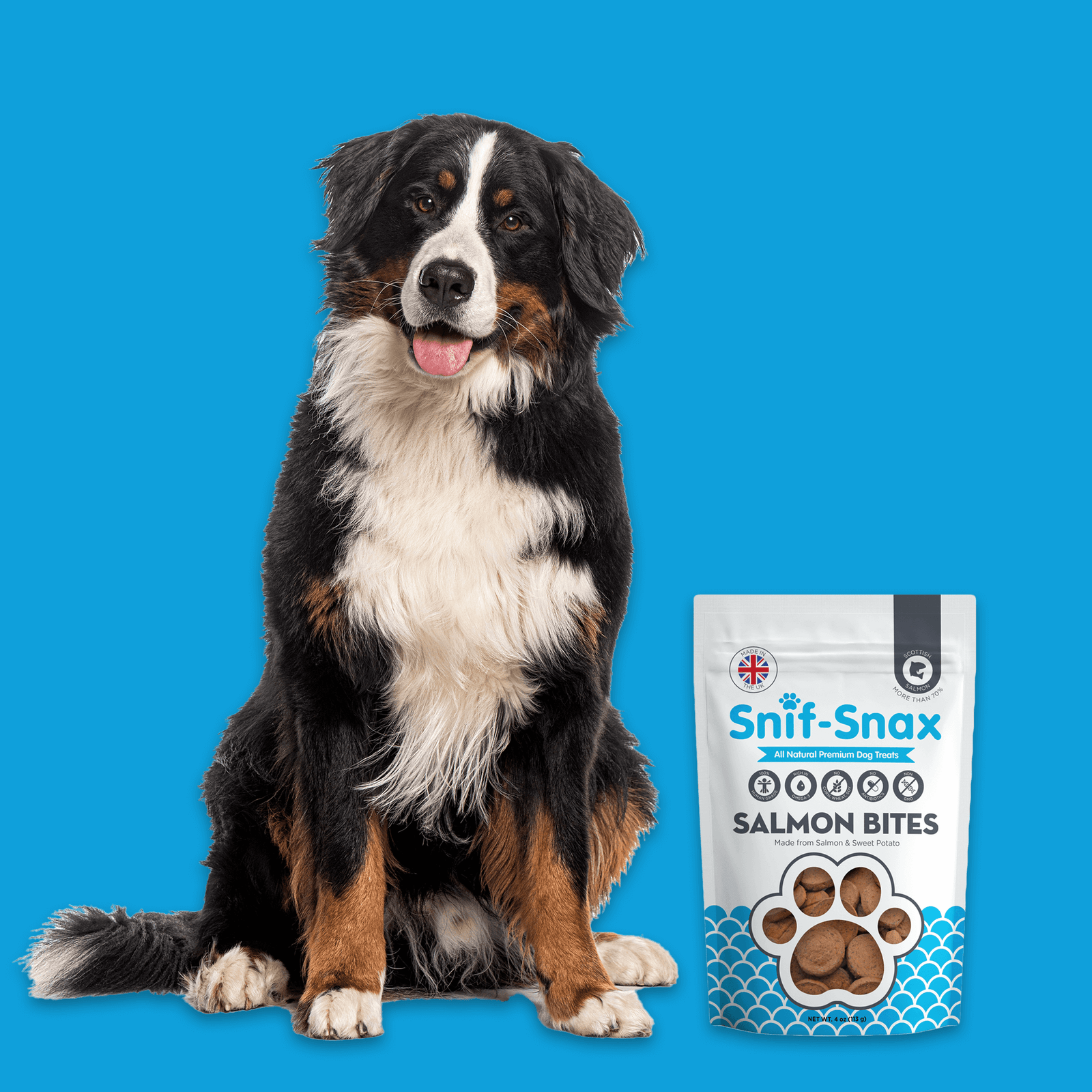 Dog sitting next to a bag of Snif-Snax Salmon Bites on a blue background