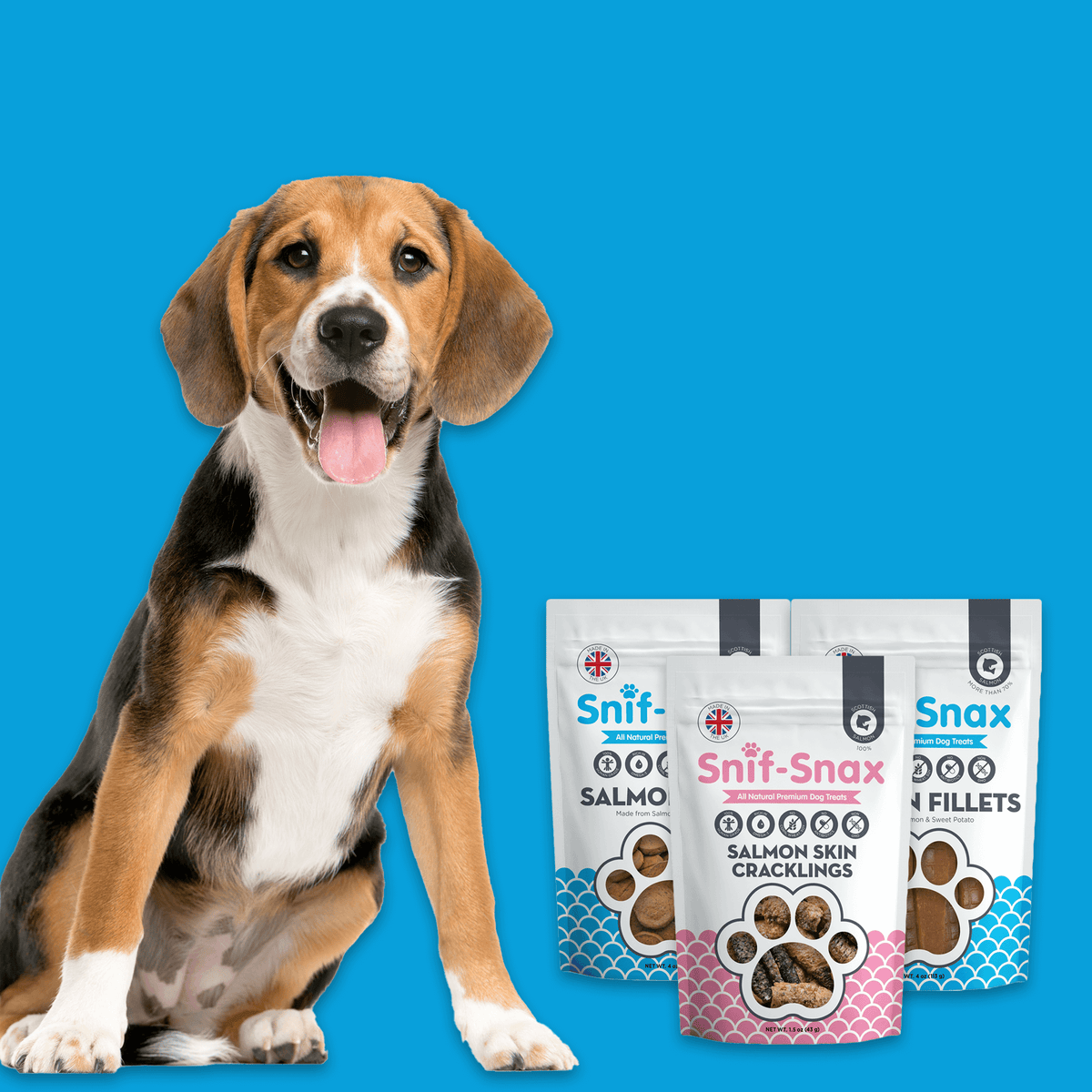 Salmon Treats Variety 3-Pack (Sample)