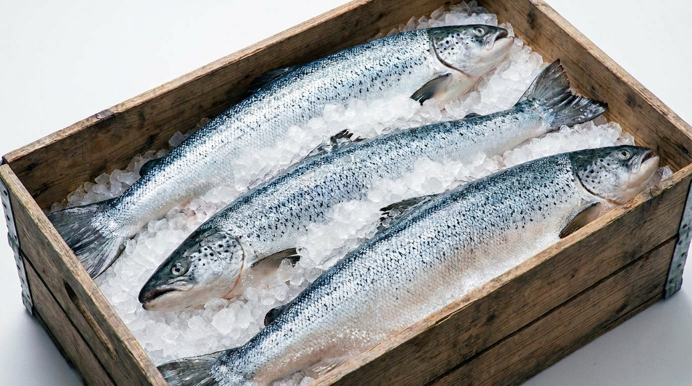 Three whole salmon fish on crushed ice inside a rustic wooden crate, photographed from above on a light neutral background.
